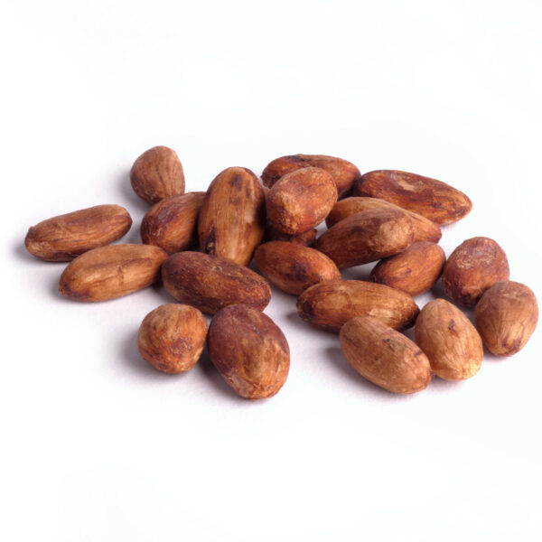 Kakaobohnen Criollo aus Peru